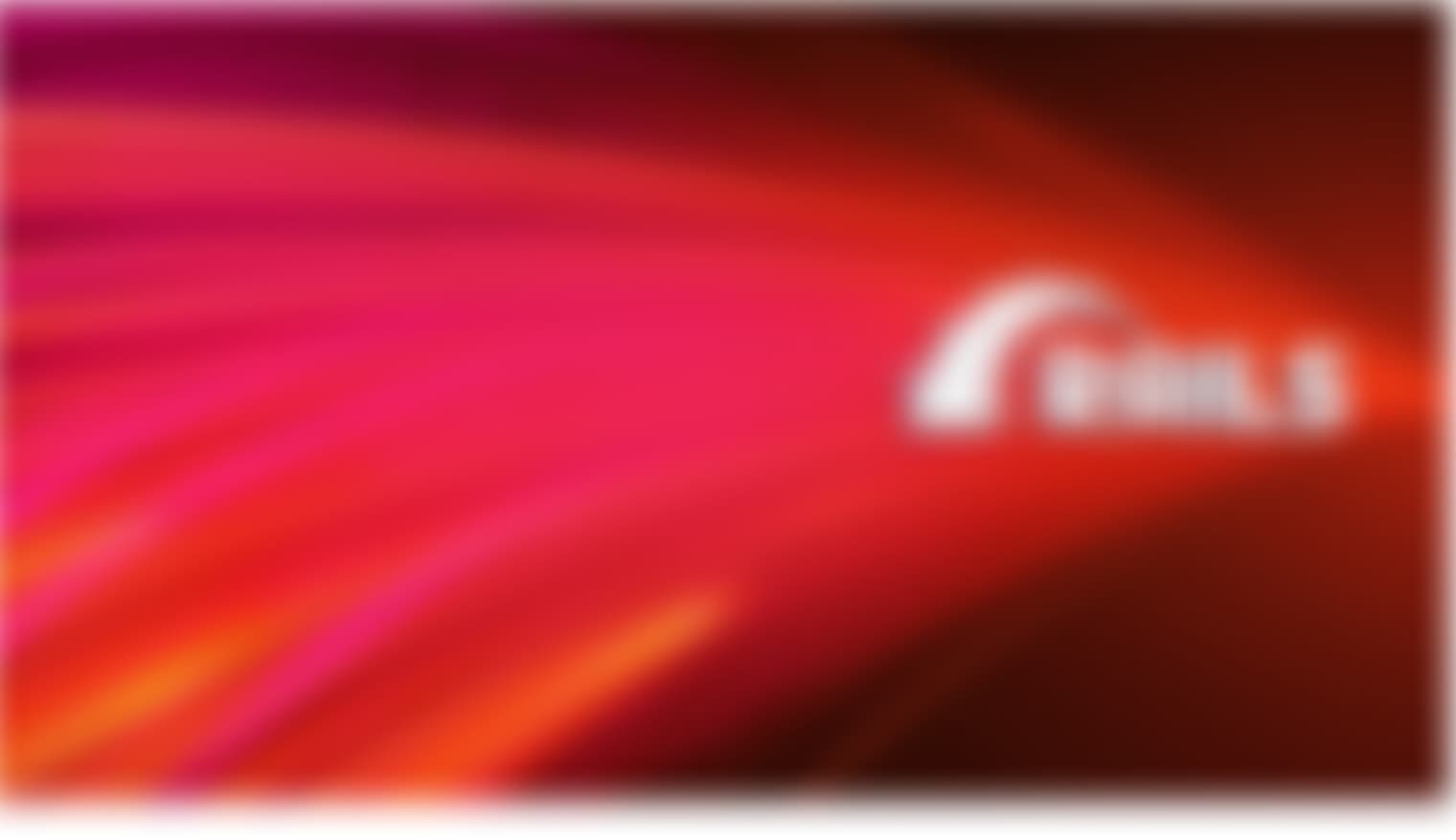 .Net development company usa